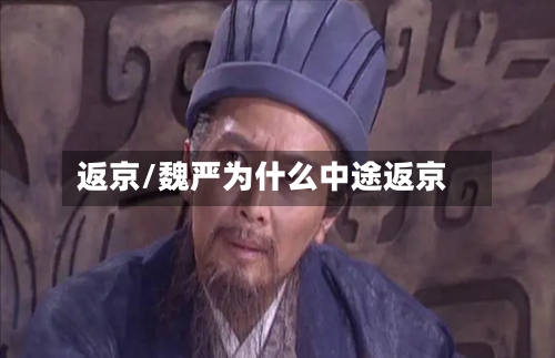 返京/魏严为什么中途返京-第2张图片