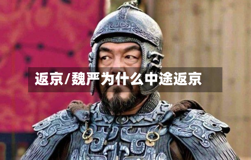 返京/魏严为什么中途返京-第1张图片