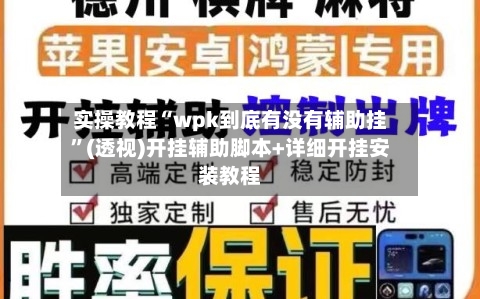 实操教程“wpk到底有没有辅助挂”(透视)开挂辅助脚本+详细开挂安装教程-第1张图片