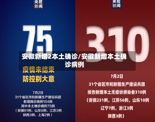 安徽新增2本土确诊/安徽新增本土确诊病例-第2张图片
