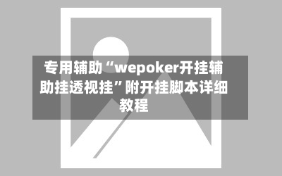 专用辅助“wepoker开挂辅助挂透视挂”附开挂脚本详细教程-第3张图片