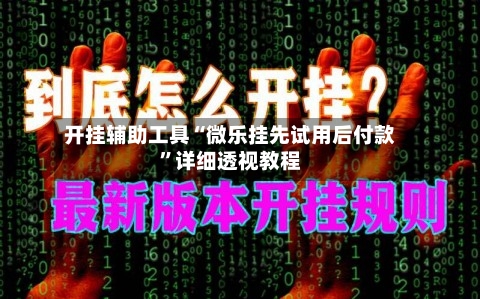 开挂辅助工具“微乐挂先试用后付款”详细透视教程-第1张图片