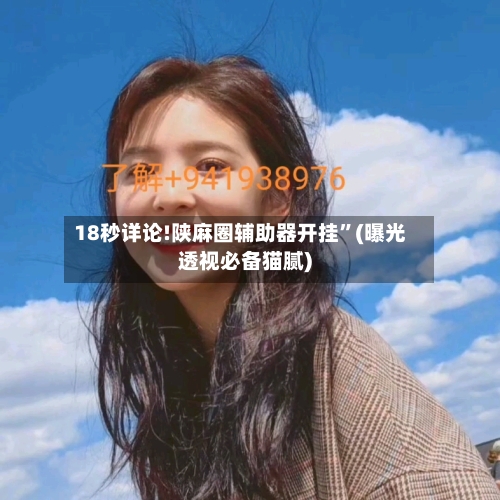 18秒详论!陕麻圈辅助器开挂”(曝光透视必备猫腻)-第2张图片