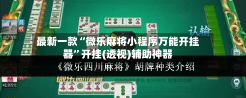 最新一款“微乐麻将小程序万能开挂器”开挂(透视)辅助神器-第2张图片