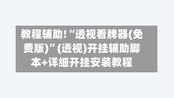 教程辅助!“透视看牌器(免费版)”(透视)开挂辅助脚本+详细开挂安装教程-第3张图片