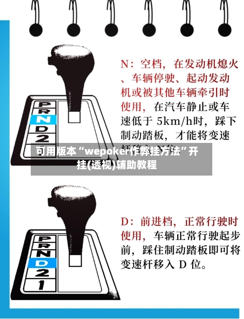 可用版本“wepoker作弊挂方法”开挂(透视)辅助教程-第3张图片