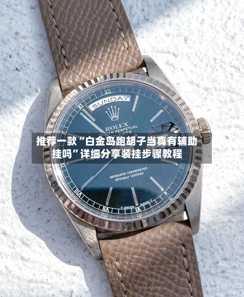 推荐一款“白金岛跑胡子当真有辅助挂吗	”详细分享装挂步骤教程-第1张图片