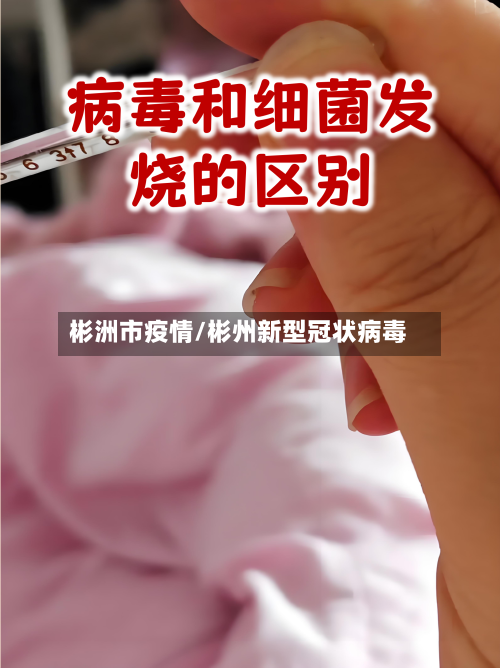 彬洲市疫情/彬州新型冠状病毒-第2张图片