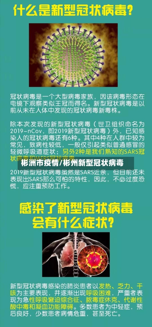 彬洲市疫情/彬州新型冠状病毒-第1张图片