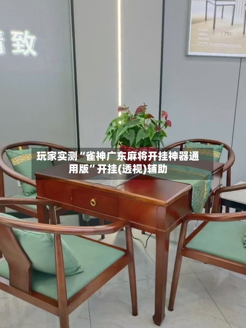 玩家实测“雀神广东麻将开挂神器通用版”开挂(透视)辅助-第2张图片