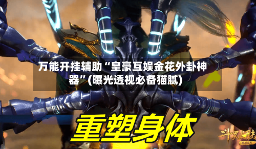 万能开挂辅助“皇豪互娱金花外卦神器”(曝光透视必备猫腻)-第2张图片