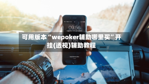可用版本“wepoker辅助哪里买”开挂(透视)辅助教程-第3张图片