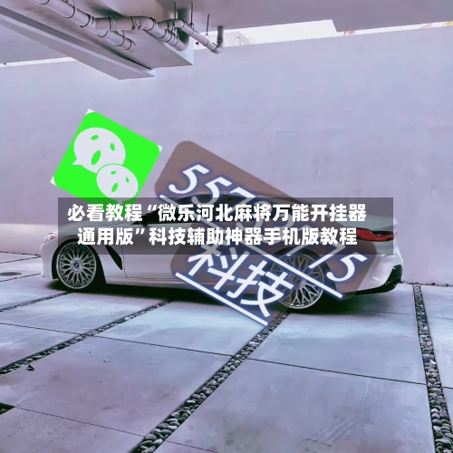 必看教程“微乐河北麻将万能开挂器通用版”科技辅助神器手机版教程-第3张图片