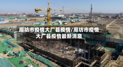 廊坊市疫情大厂县疫情/廊坊市疫情大厂县疫情最新消息-第2张图片