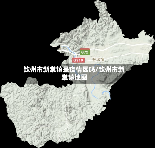 钦州市新棠镇是疫情区吗/钦州市新棠镇地图-第1张图片