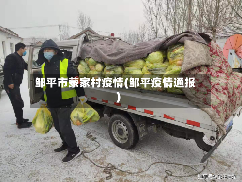 邹平市蒙家村疫情(邹平疫情通报)-第2张图片
