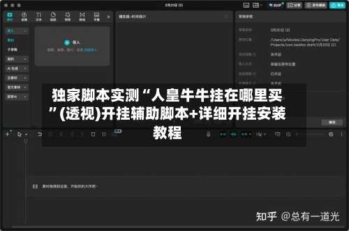 独家脚本实测“人皇牛牛挂在哪里买”(透视)开挂辅助脚本+详细开挂安装教程-第1张图片