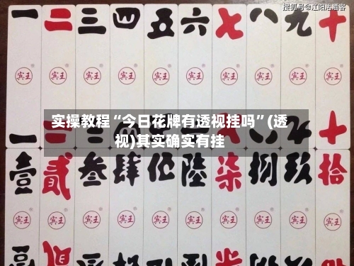 实操教程“今日花牌有透视挂吗	”(透视)其实确实有挂-第1张图片
