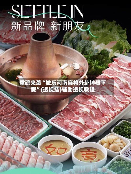 重磅来袭“微乐河南麻将外卦神器下载”(透视挂)辅助透视教程-第3张图片