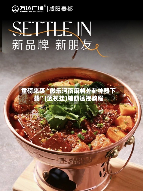 重磅来袭“微乐河南麻将外卦神器下载”(透视挂)辅助透视教程-第1张图片