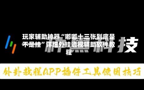 玩家辅助神器“嘟嘟十三张到底是不是挂”详细外挂透视辅助软件教程-第1张图片