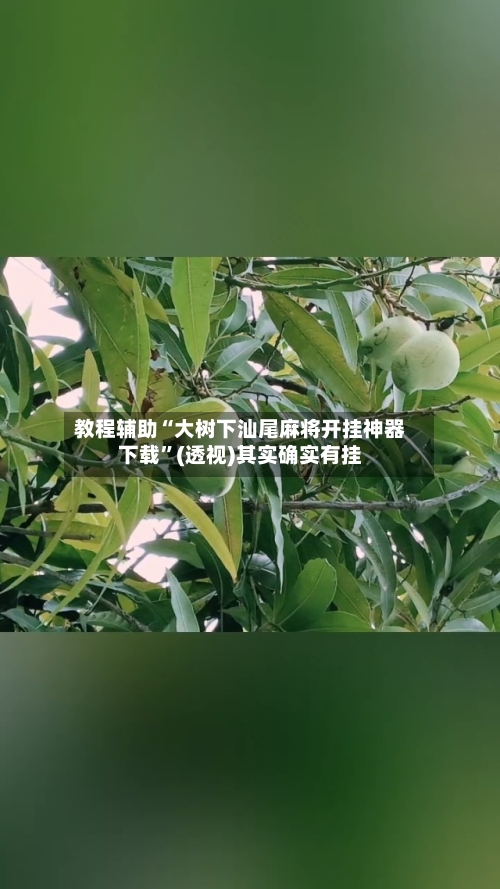 教程辅助“大树下汕尾麻将开挂神器下载	”(透视)其实确实有挂-第1张图片