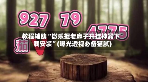教程辅助“微乐捉老麻子开挂神器下载安装	”(曝光透视必备猫腻)-第1张图片
