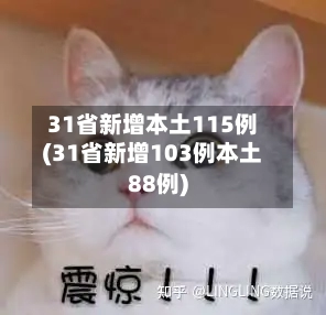 31省新增本土115例(31省新增103例本土88例)-第1张图片