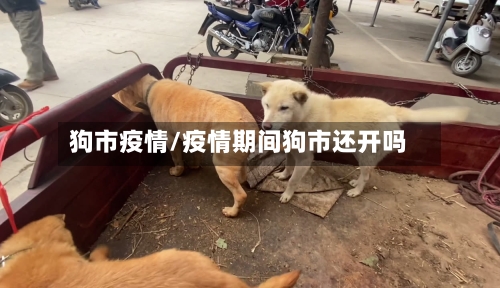 狗市疫情/疫情期间狗市还开吗-第1张图片