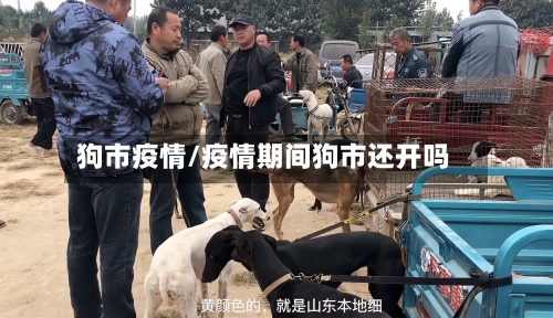 狗市疫情/疫情期间狗市还开吗-第2张图片