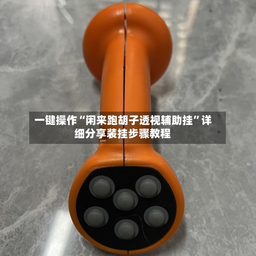 一键操作“闲来跑胡子透视辅助挂”详细分享装挂步骤教程-第3张图片