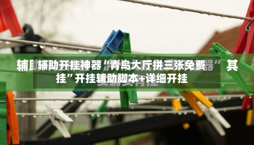 辅助开挂神器“青鸟大厅拼三张免费挂”开挂辅助脚本+详细开挂-第3张图片