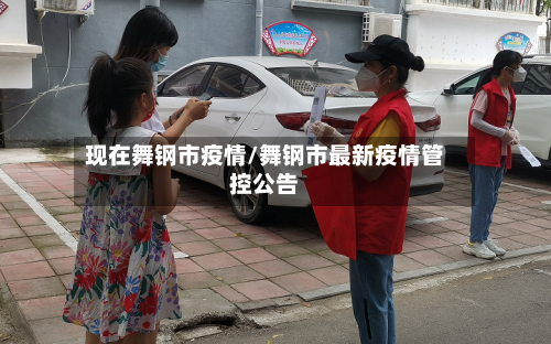 现在舞钢市疫情/舞钢市最新疫情管控公告-第2张图片