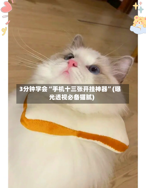 3分钟学会“手机十三张开挂神器”(曝光透视必备猫腻)-第1张图片