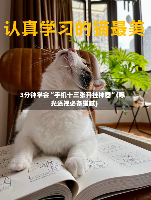 3分钟学会“手机十三张开挂神器”(曝光透视必备猫腻)-第3张图片
