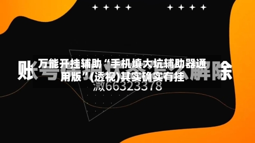 万能开挂辅助“手机填大坑辅助器通用版”(透视)其实确实有挂-第1张图片