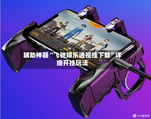 辅助神器“飞驰娱乐透视挂下载	”详细开挂玩法-第1张图片