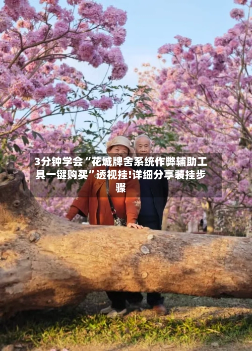 3分钟学会“花城牌舍系统作弊辅助工具一键购买”透视挂!详细分享装挂步骤-第3张图片