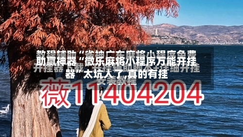 助赢神器“微乐麻将小程序万能开挂器	”太坑人了,真的有挂-第2张图片