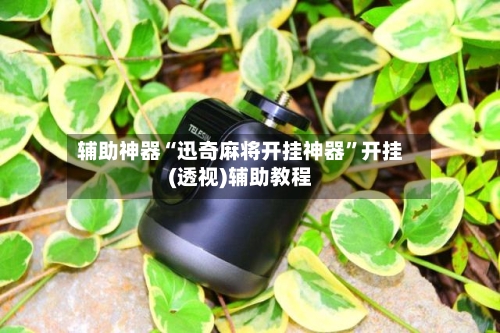 辅助神器“迅奇麻将开挂神器	”开挂(透视)辅助教程-第2张图片