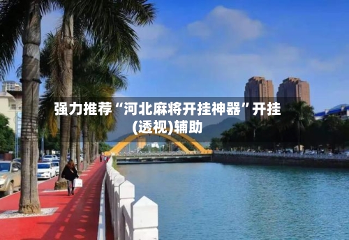 强力推荐“河北麻将开挂神器	”开挂(透视)辅助-第1张图片