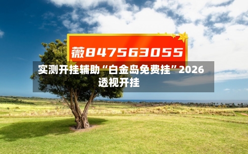 实测开挂辅助“白金岛免费挂”2026透视开挂-第2张图片