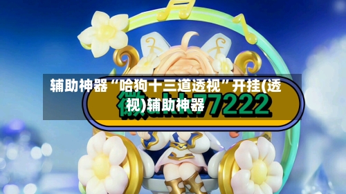 辅助神器“哈狗十三道透视”开挂(透视)辅助神器-第1张图片