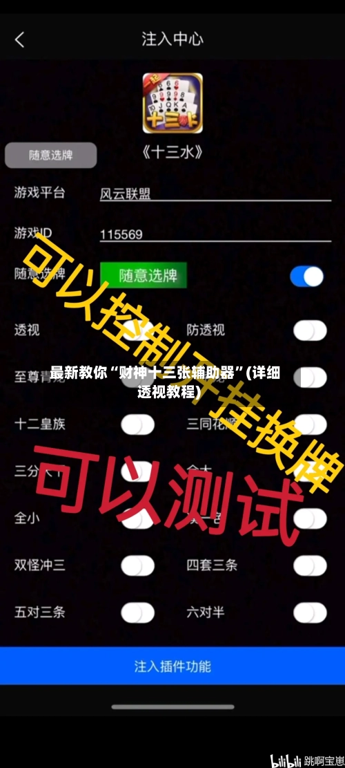 最新教你“财神十三张辅助器	”(详细透视教程)-第1张图片