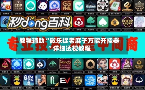 教程辅助“微乐捉老麻子万能开挂器	”详细透视教程-第1张图片