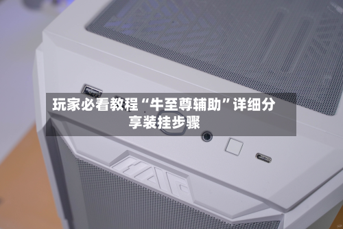 玩家必看教程“牛至尊辅助”详细分享装挂步骤-第1张图片