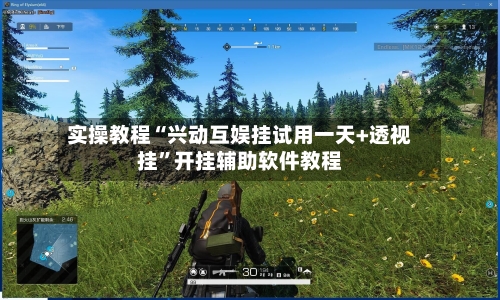 实操教程“兴动互娱挂试用一天+透视挂”开挂辅助软件教程-第1张图片