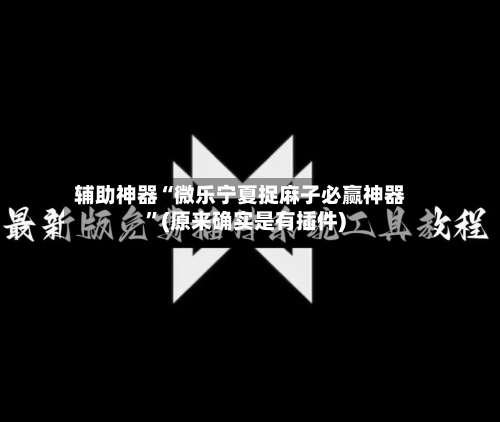 辅助神器“微乐宁夏捉麻子必赢神器”(原来确实是有插件)-第1张图片