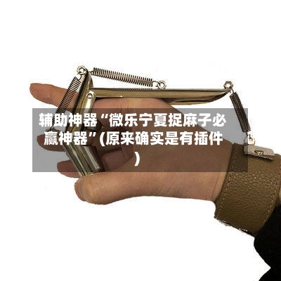 辅助神器“微乐宁夏捉麻子必赢神器	”(原来确实是有插件)-第2张图片