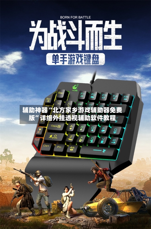辅助神器“北方家乡游戏辅助器免费版	”详细外挂透视辅助软件教程-第3张图片